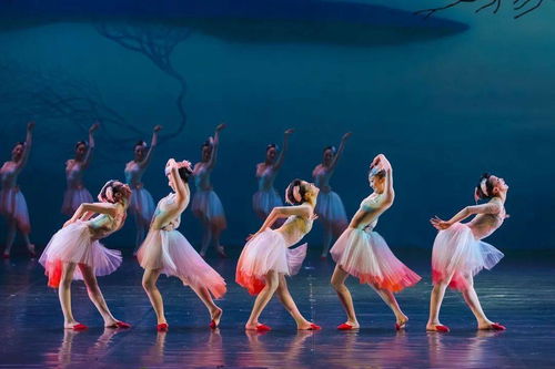 大年初一，舞剧《朱鹮》杭州站唯美钜献，开启新春文艺盛宴